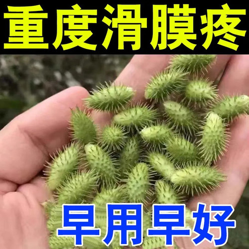 麝香追风膏药贴百杨吉老龙涎香膏尤清绝添加苏合香沉香檀香蔷薇水