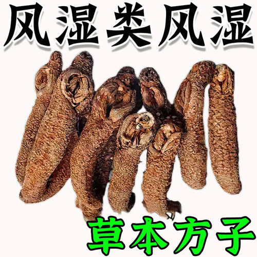 风湿贴葵花消炎镇痛膏贴关节痛挫伤扭伤风湿痛关节炎肌肉酸痛
