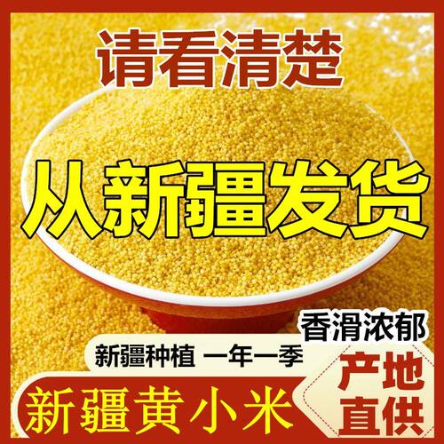 五谷杂粮新疆小米香醇浓郁
