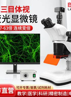 朗齐体视荧光显微镜三目体视接电脑拍照测量导出数据深恶学医学用落射照明两个波段荧光Q-90LED