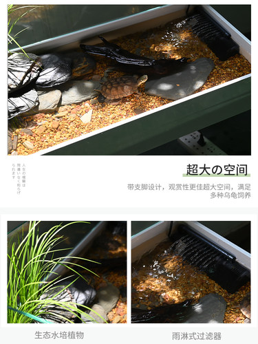 龟缸生态景观水陆缸房子家庭客厅大龟特超大玻璃养殖箱