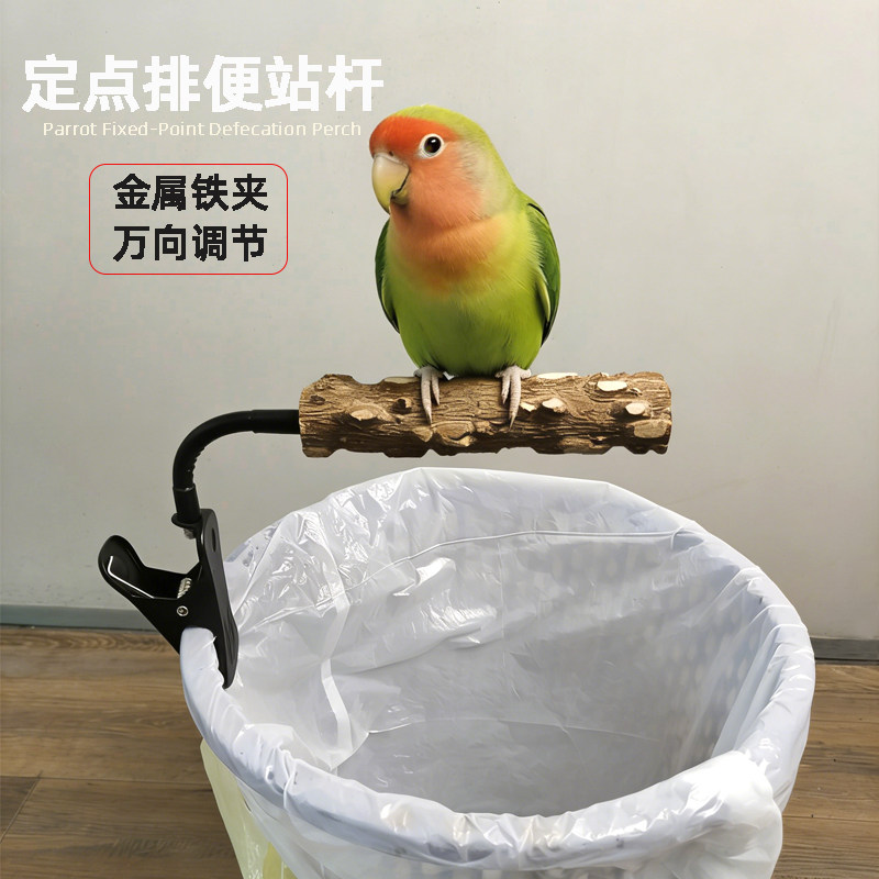 鹦鹉站杆站架牡丹小太鹦鹉站杆鹦鹉训练定点排便神器夹子鸟用站杆,宠物/宠物食品及用品,鸟类站杆,淘宝优惠券,粉丝福利购,淘宝优惠卷