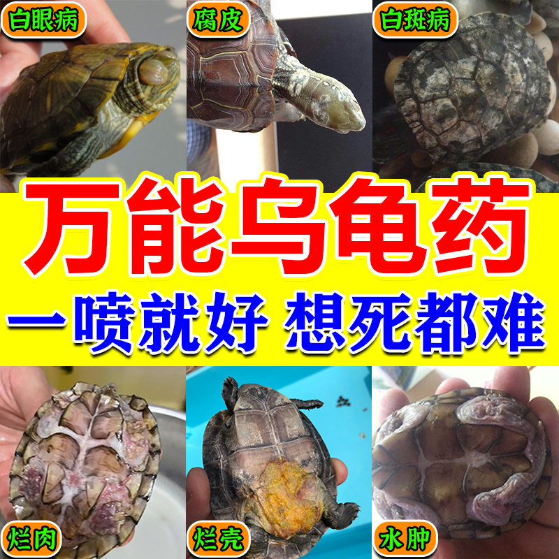 万能护龟宝再严重都能治