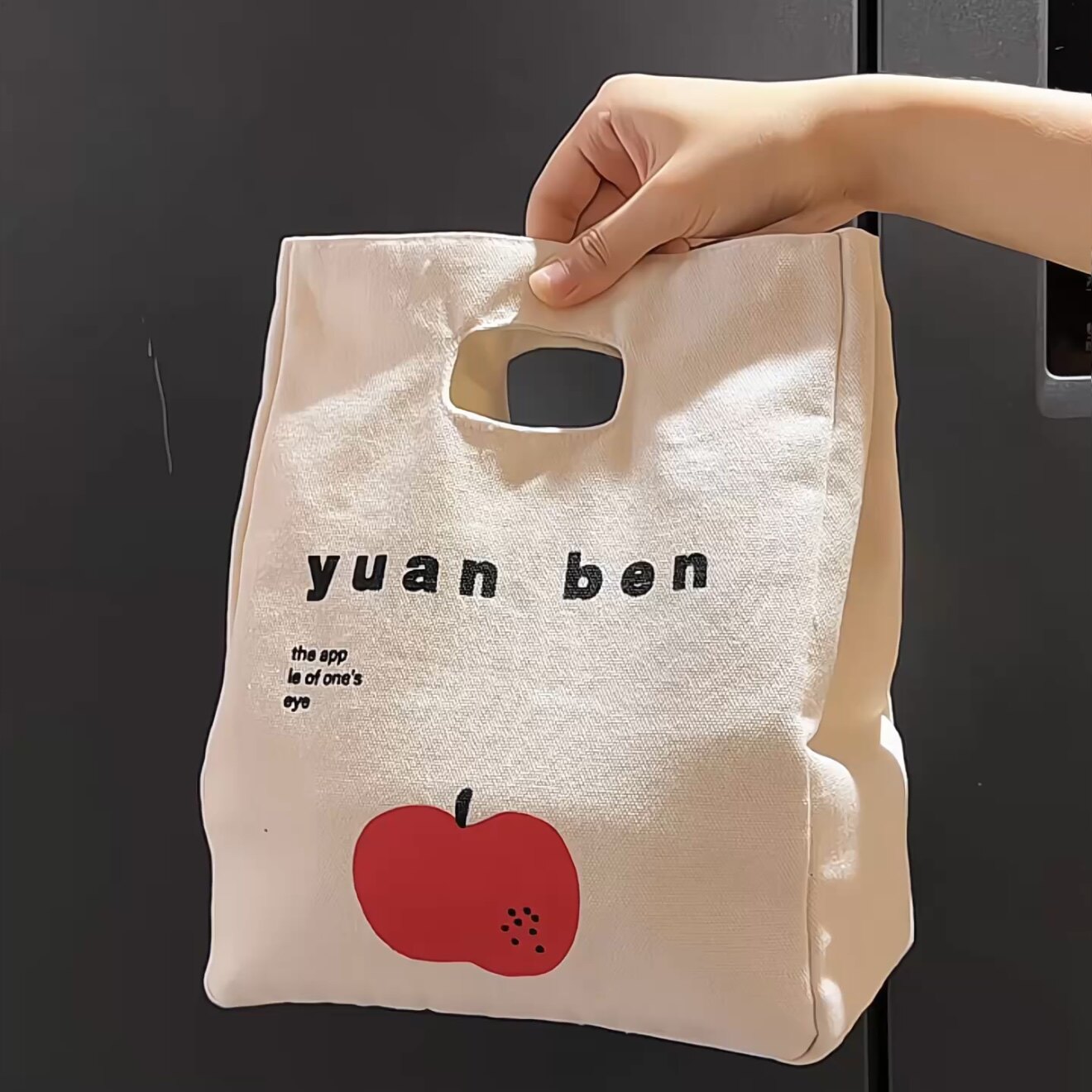 MOMO日式帆布加厚便当包简约手提