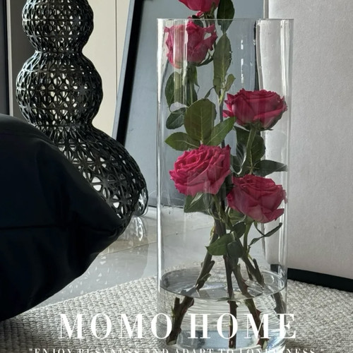 MOMO HOME家居大号透明直筒玻璃花瓶客厅落地富贵竹鲜花
