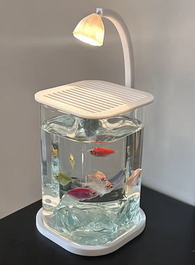 MOMO HOME家居桌面鱼缸小型懒人玻璃造景客厅餐桌斗鱼小鱼缸XX
