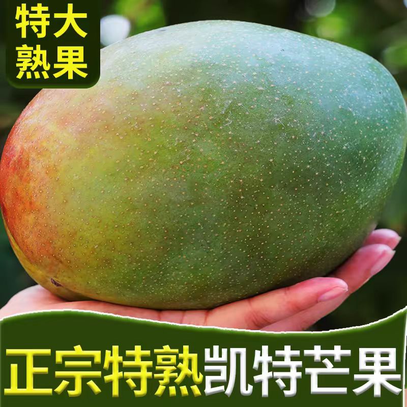 四川攀枝花凯特芒青皮芒果当季大芒果无酸无丝凯特芒纯甜孕妇水果
