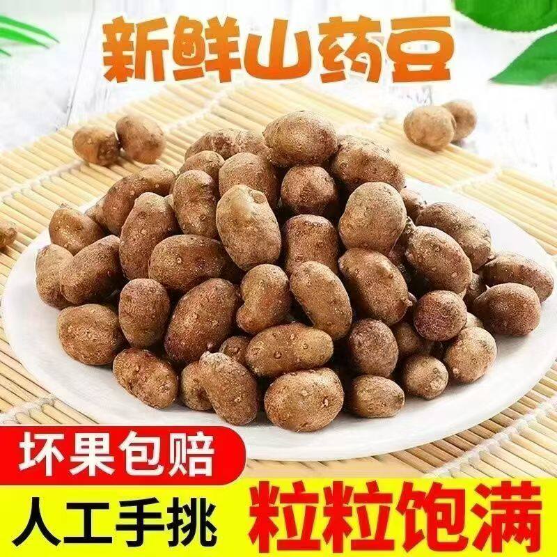 农家人工精选河北小白嘴山药豆长豆新鲜山药豆粉糯香甜产地直发