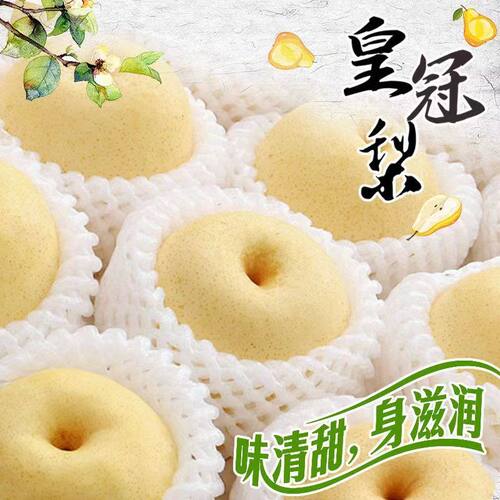 安徽皇冠梨新鲜梨子5斤整箱包邮当季水果现摘砀山皇冠梨雪梨