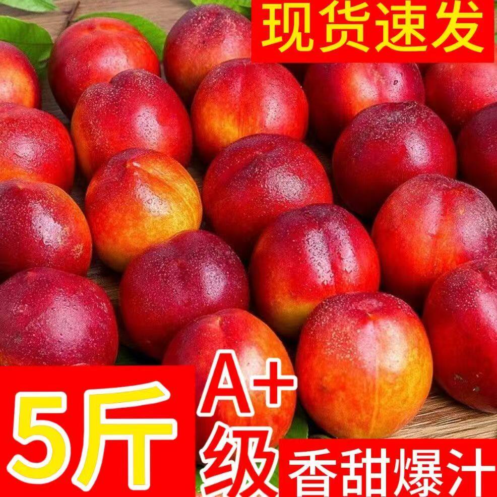 湖北随州脆甜现摘新鲜桃子孕妇水果当季时令桃子脆甜整箱大油桃