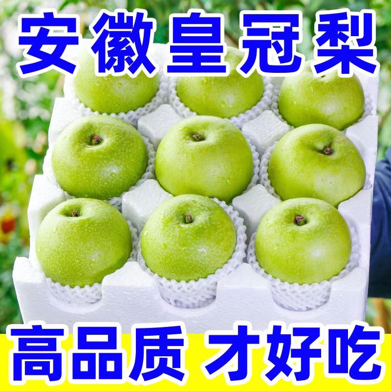 砀山青皮翠玉梨10斤新鲜现摘大果汤山脆梨皇冠梨翠冠梨子水果青梨