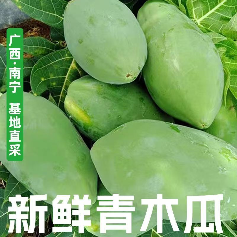 新鮮現(xiàn)摘廣西青木瓜番木瓜產(chǎn)婦用下奶樹(shù)上熟農(nóng)家應(yīng)季水果9斤包郵
