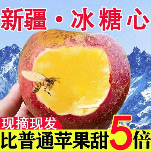 新疆阿克苏冰糖心苹果新鲜水果正宗精选大果脆甜当季整箱净重5斤