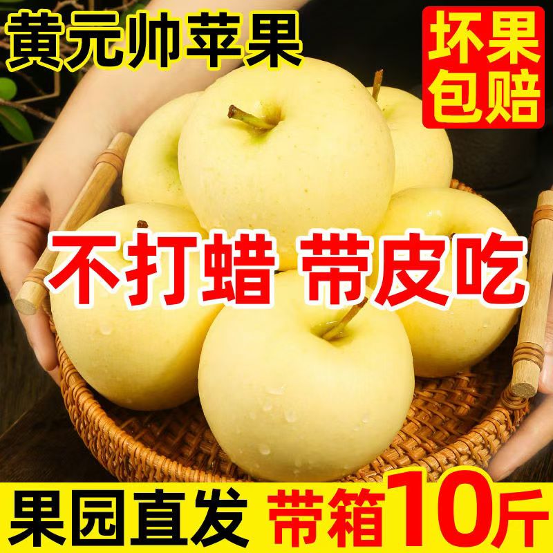 黄元帅苹果新鲜丑水果粉面果刮泥果老品种黄金帅正宗黄香蕉苹果