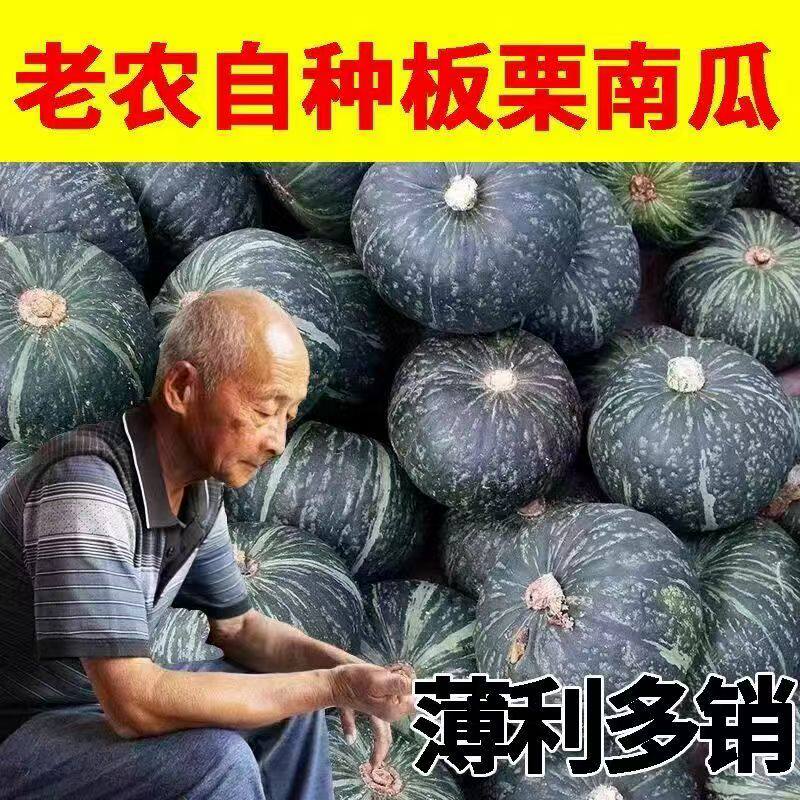正宗板栗南瓜板栗味5斤老瓜婴儿辅食孕妇粉糯香甜陕西小南瓜栗面