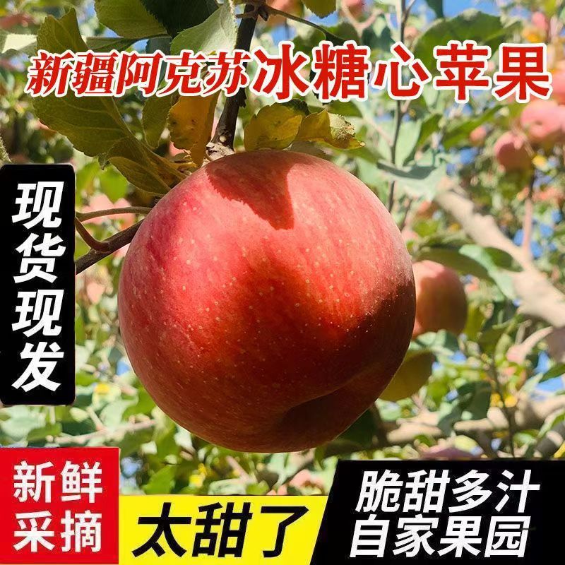 正宗新疆冰糖心苹果新鲜应当季水果整箱5斤包邮红富士阿克丑平果