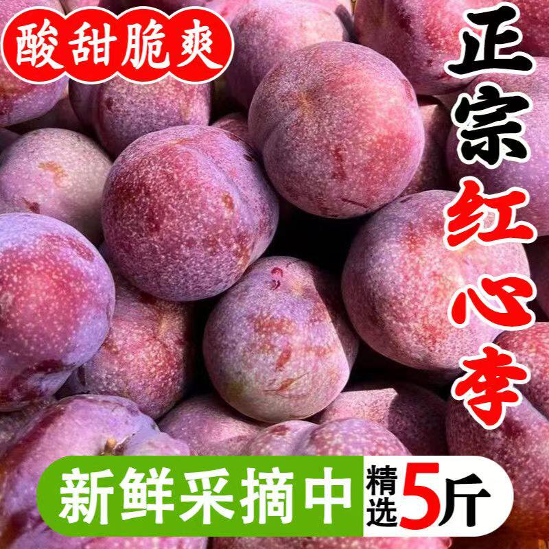 正宗三华李新鲜水果红心李子孕妇大果甜酸脆当季3斤包邮5斤特价