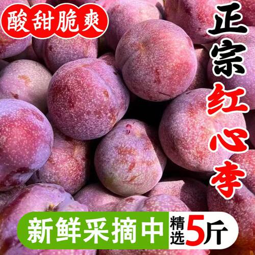 正宗三华李新鲜水果红心李子孕妇大果甜酸脆当季3斤包邮5斤特价