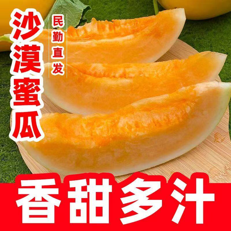 正宗民勤蜜瓜甜瓜新鲜水果应当季整箱包邮黄金脆香瓜哈密甘肃民勤