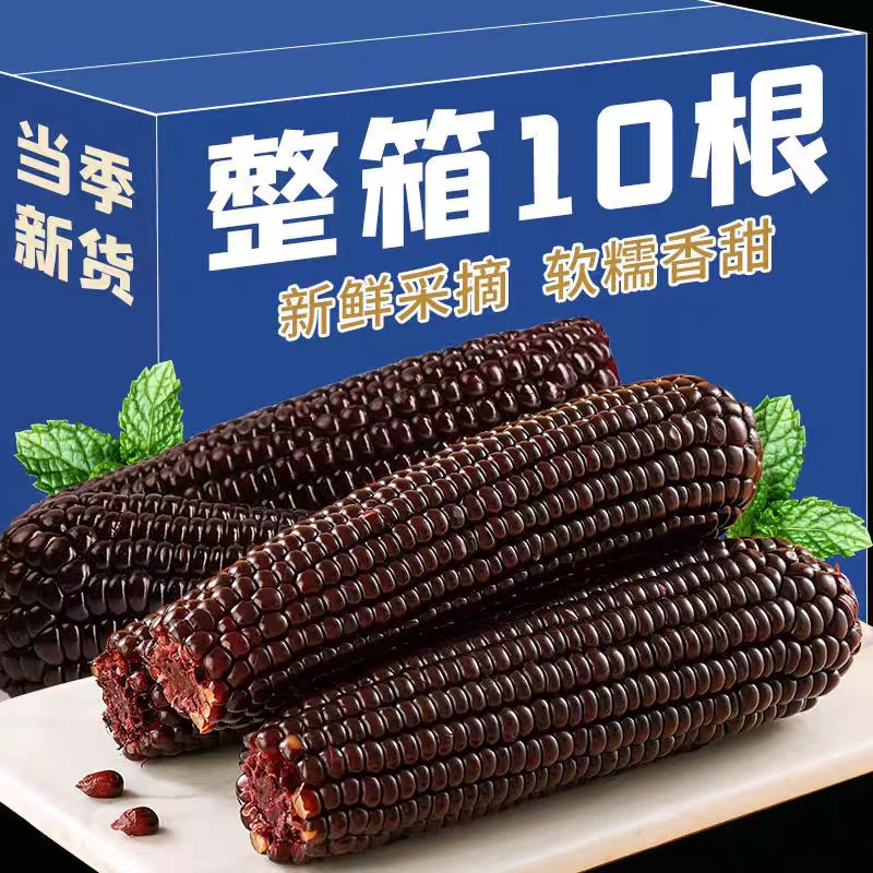 东北真空黑糯玉米黑糯粗粮甜糯玉米代餐早餐粘糯黏新鲜美味可口