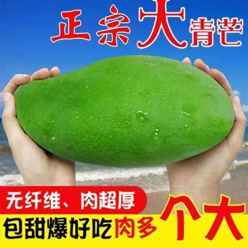 越南大青芒果10斤新鲜现摘一级大纯甜青皮孕妇水果整箱产地直发