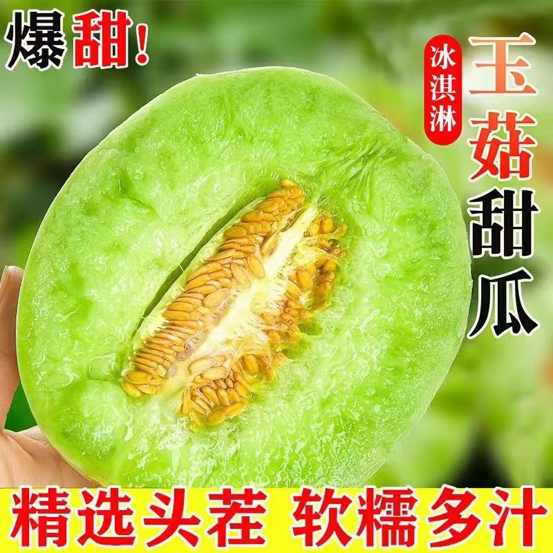 冰淇淋玉菇甜瓜现摘现农家自种发软糯香甜当季新鲜水果水润多汁