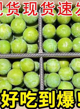 青李子脱骨李5斤装新鲜珍珠李孕妇当季水果三华李子青脆李鲜果