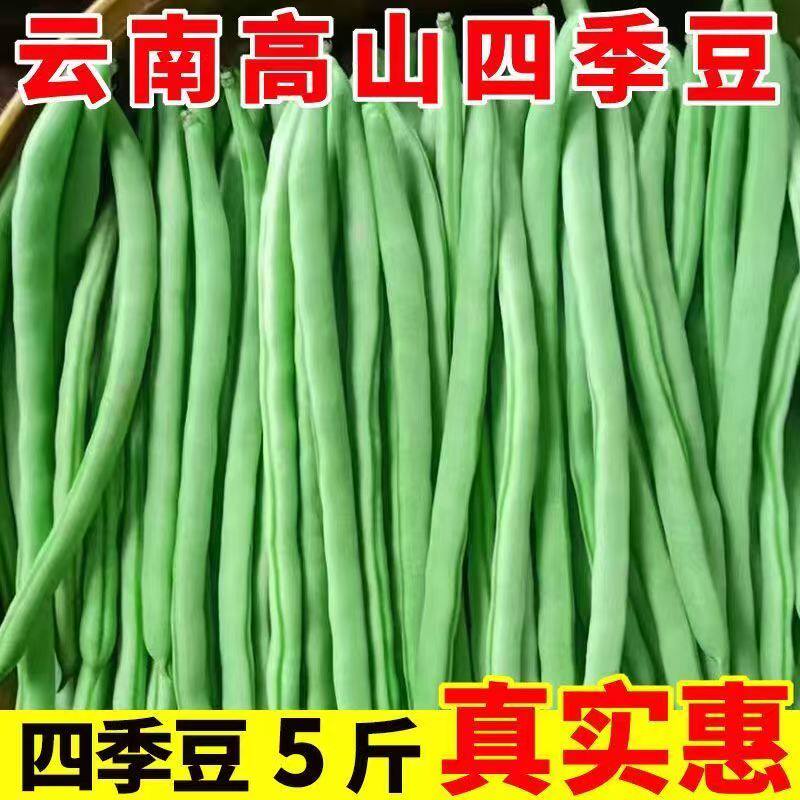 云南高山四季豆新鲜现摘当季长豆角农家自种应季蔬菜芸豆青扁豆角