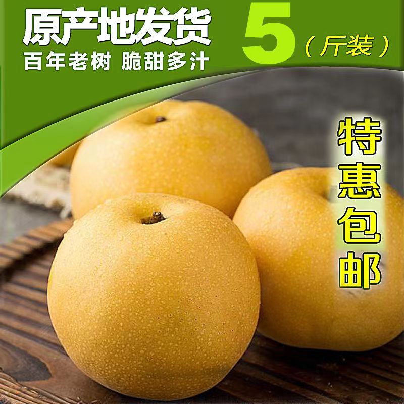 正宗山东丰水梨5斤黄梨水果梨新鲜脆甜梨子新鲜采摘脆甜整箱包邮