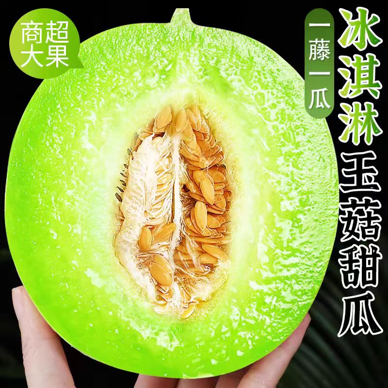 山东冰淇淋玉菇甜瓜新鲜水果当季整箱包邮小香瓜蜜瓜现摘现发