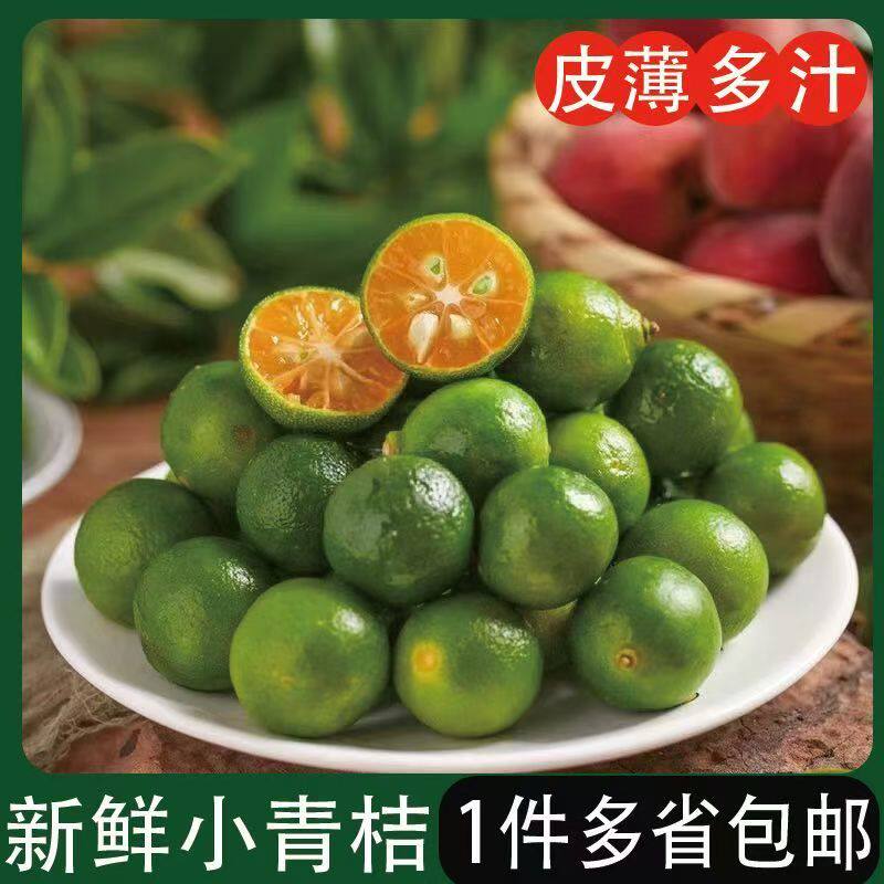 新鲜水果青金桔小金桔小青桔奶茶店使用鲜果酸桔酸青橘酸青桔爆汁