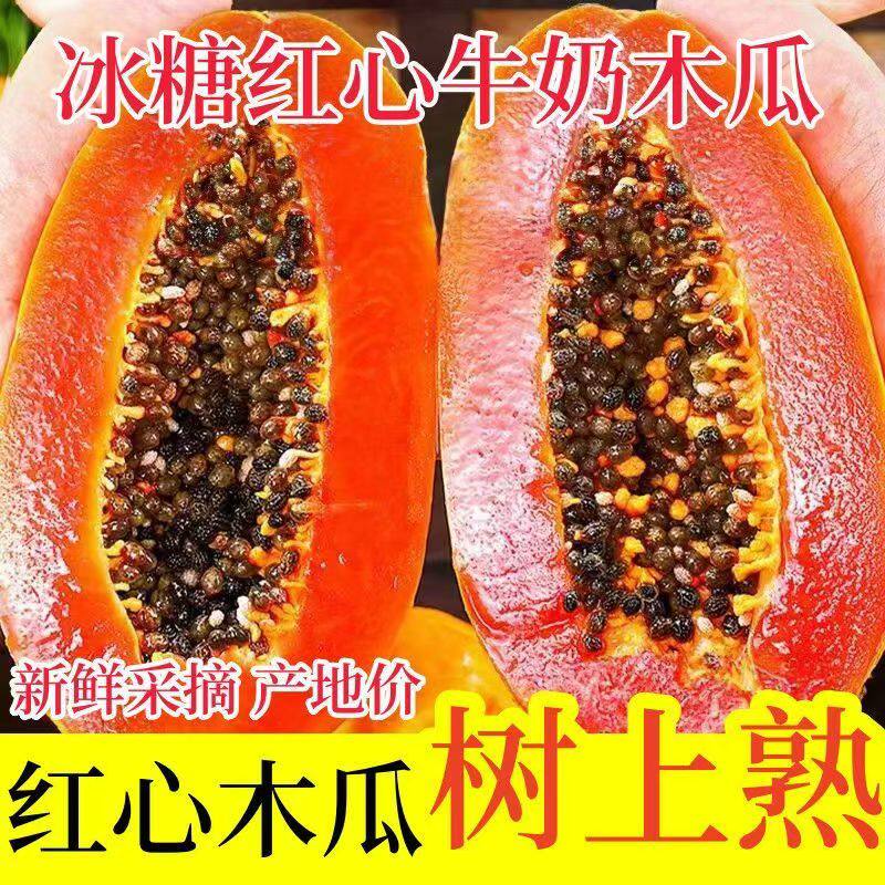 牛奶冰糖红心木瓜下奶5斤新鲜水果整箱青皮番个大产妇水果冰糖心