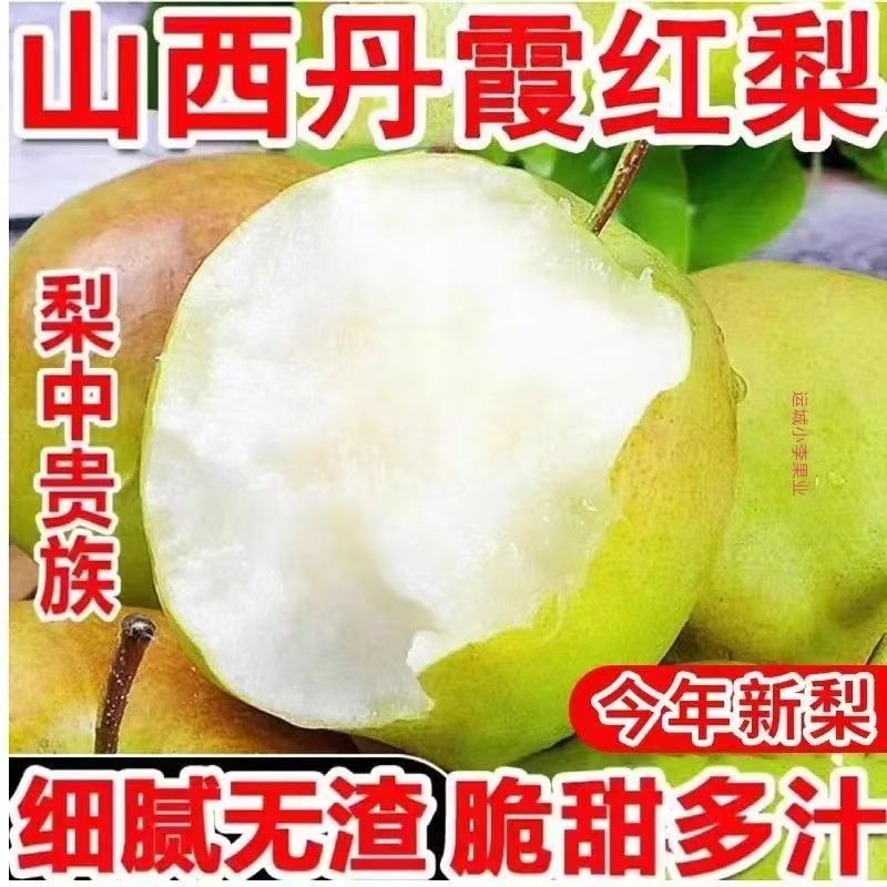 2026年山西丹霞红酥梨薄皮脆甜化渣新鲜水果大果梨子玉露香雪梨