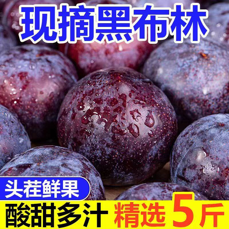 26年头茬新鲜5斤黑布林酸甜大李子脆孕妇水果当应季整箱黑宝石野
