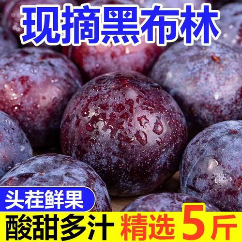 26年头茬新鲜5斤黑布林酸甜大李子脆孕妇水果当应季整箱黑宝石野
