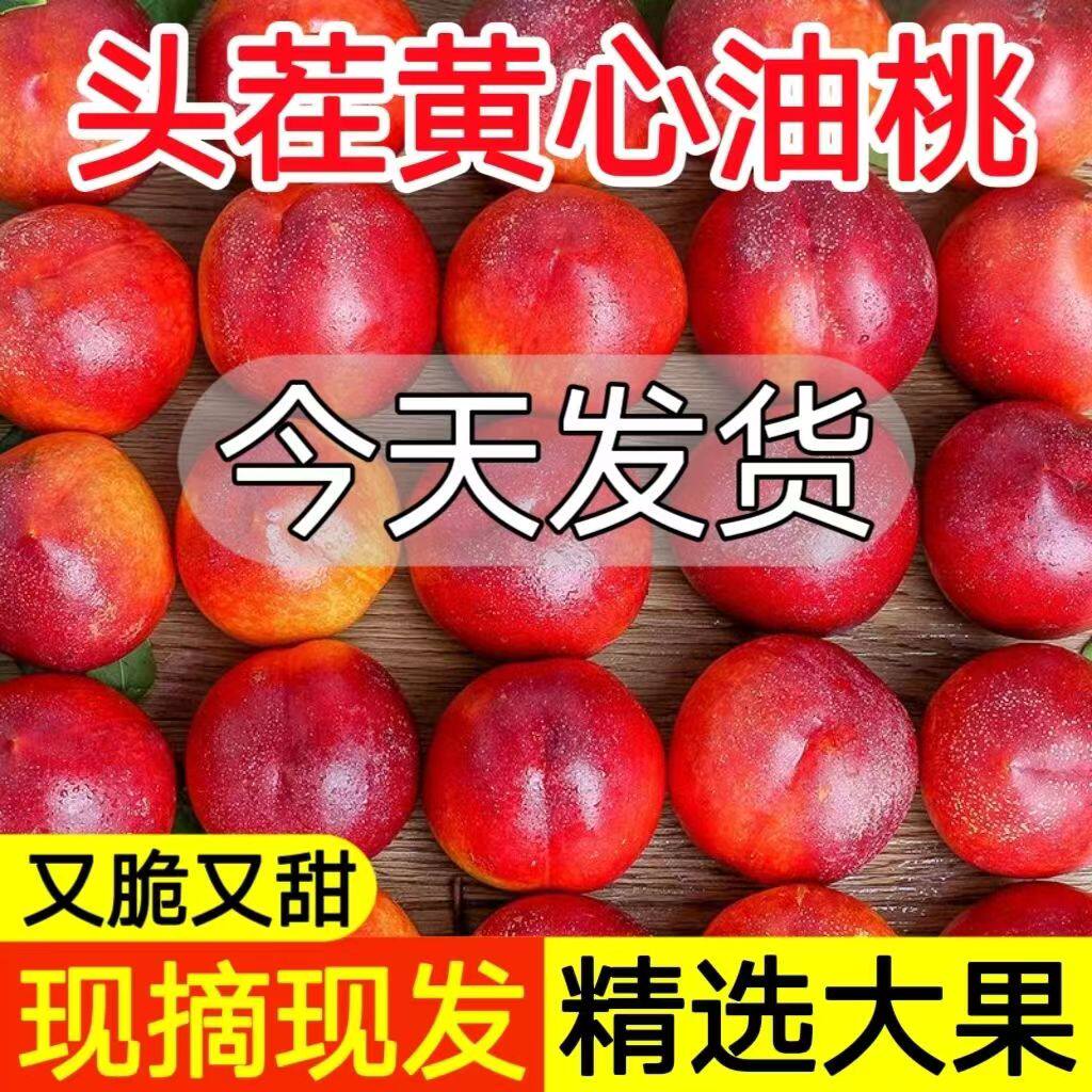 山西脆甜黄心油桃新鲜应季水果水蜜脆桃正宗黄肉超甜整箱5斤包邮