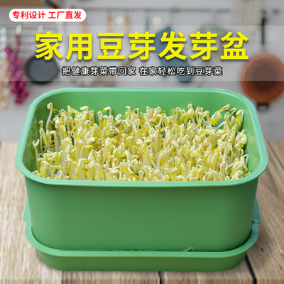 发豆芽神器育苗盘发豆芽专用盆