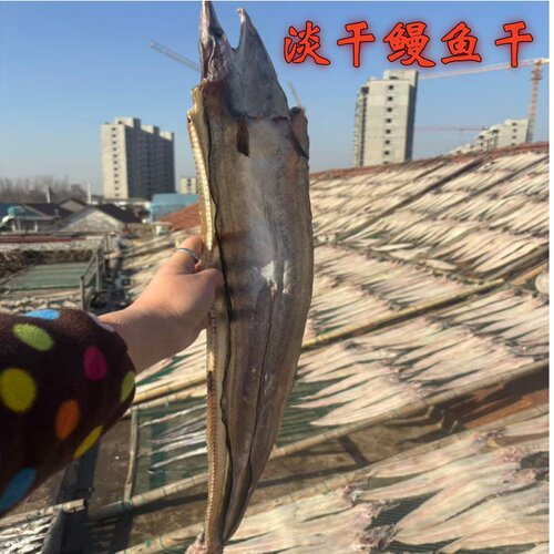 自家晾晒淡干鳗鱼干海鳗鱼整条小鱼干海鲜干货