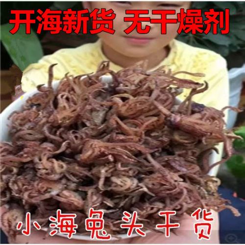 新鲜海兔无沙乌贼笔管水产干货