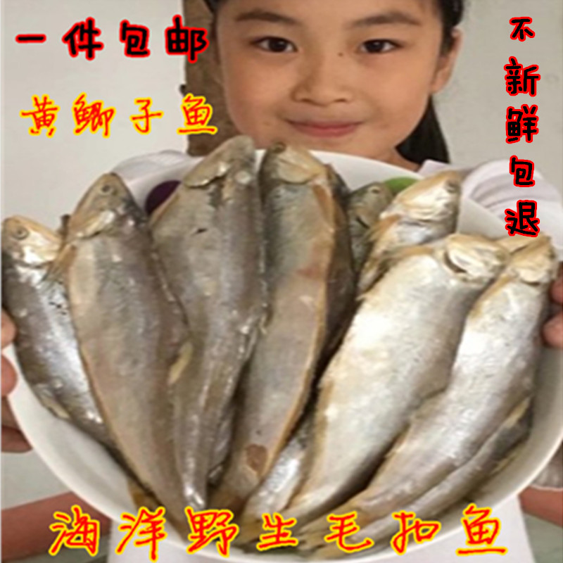 新鲜干货黄鲫子鱼毛扣鱼咸鱼干黄尖子烤子鱼马口鱼500克 包邮