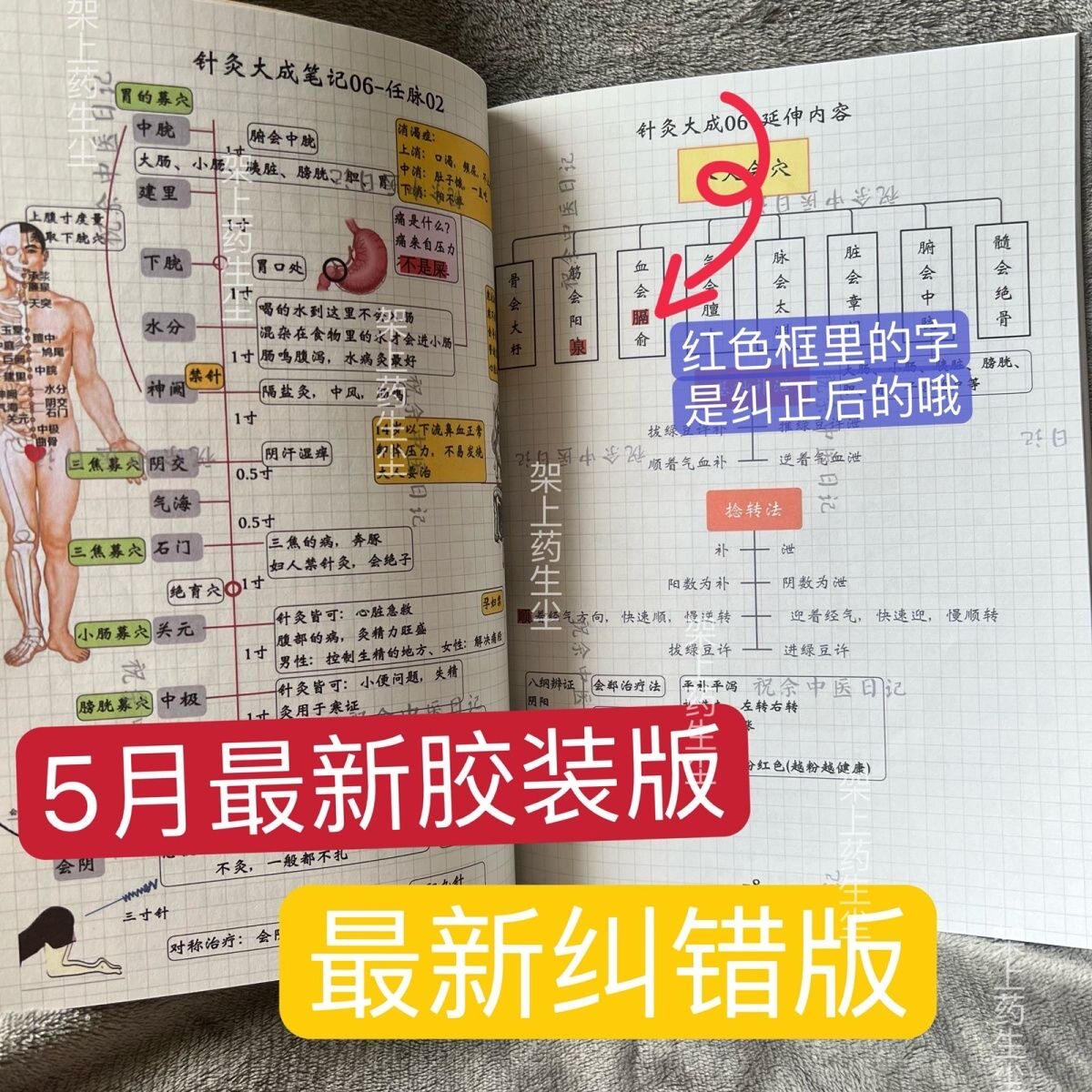 倪师针灸大成图文笔记针灸学习笔记本针灸彩色打印笔记本