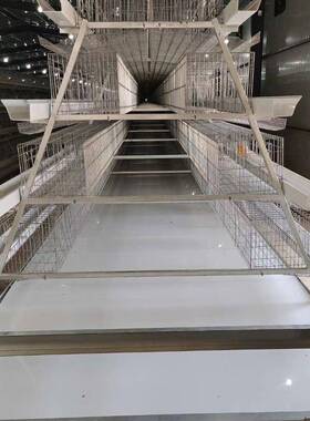 养鸡阶蛋鸡笼梯丝笼传饮送带自动清粪鸡食槽自动水养殖铁QYC设备