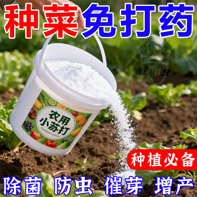 农用小苏打粉防病除虫增产