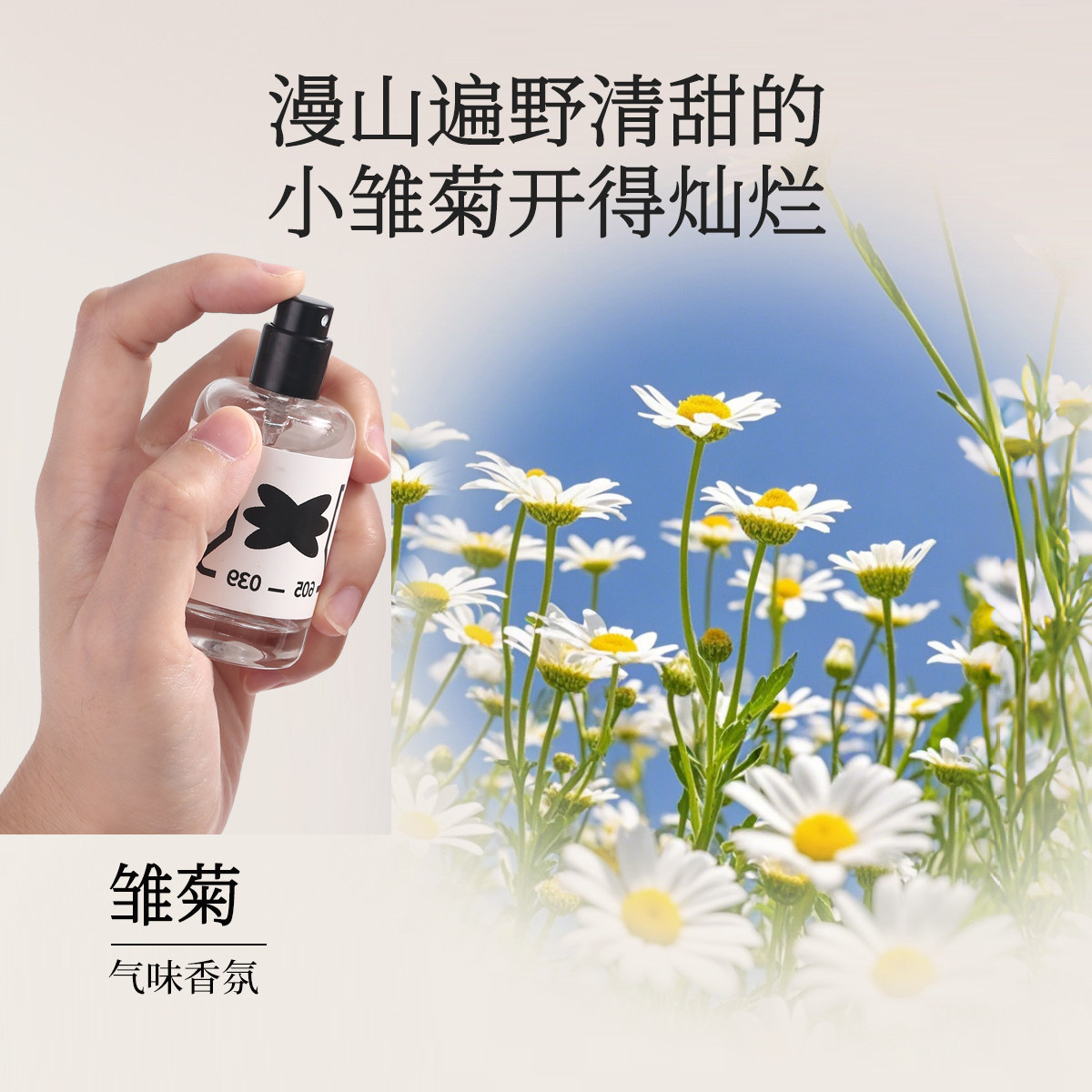 Storyin气味实验室雏菊香氛菊花清新淡雅小众持久留香生日礼物品