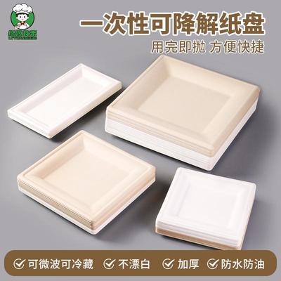 可降解烧烤碟子环保加厚野营餐盘