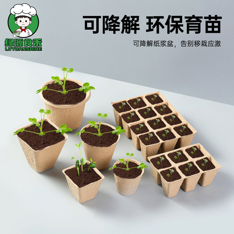 纸浆育苗杯一次性可降解育苗盘培育盆纸质营养钵育种盘种植杯批发