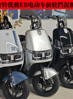 TAILING/台铃优骏EB2025电动车前挡泥板配件前轮挡泥瓦熊熊棕黑色