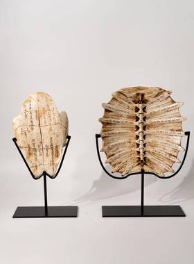 现代中古高端仿古化石甲骨文龟背创意摆件桌面办公室工艺品装饰品