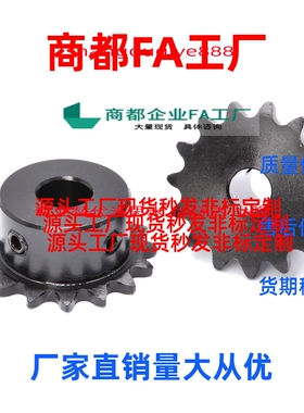 链轮SP25B16/SP25B17/SP25B18/SP25B19/SP25B20/SP25B21/-N-9/10/