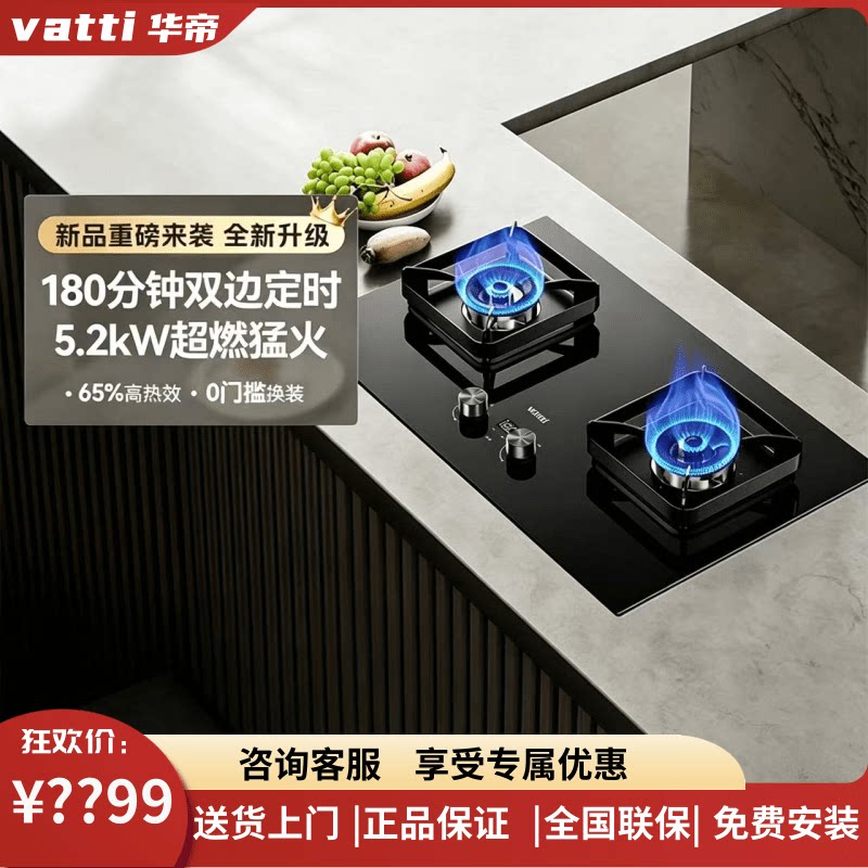 Vatti/华帝i10101D定时燃气灶